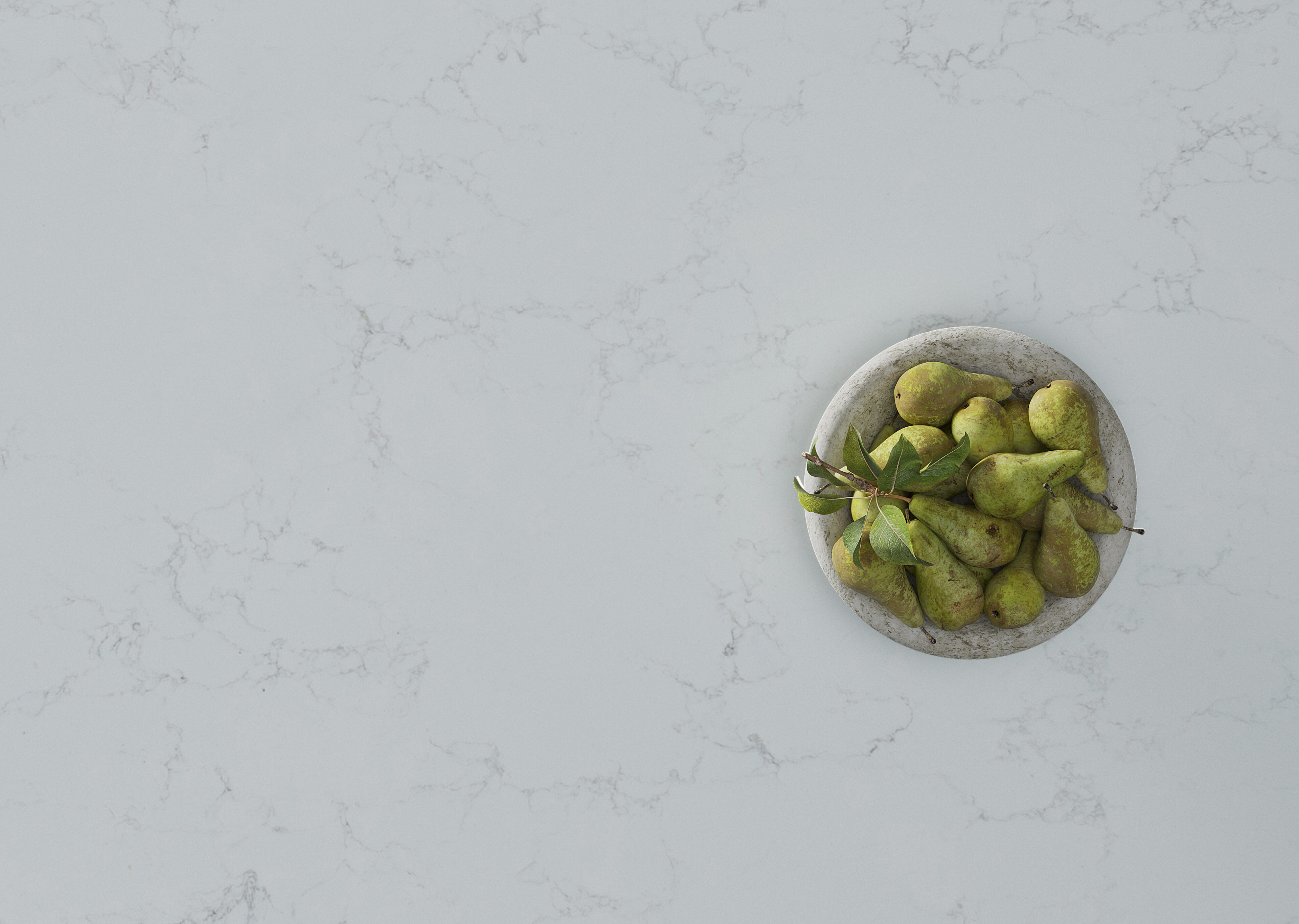 Close up of Auro on countertop
