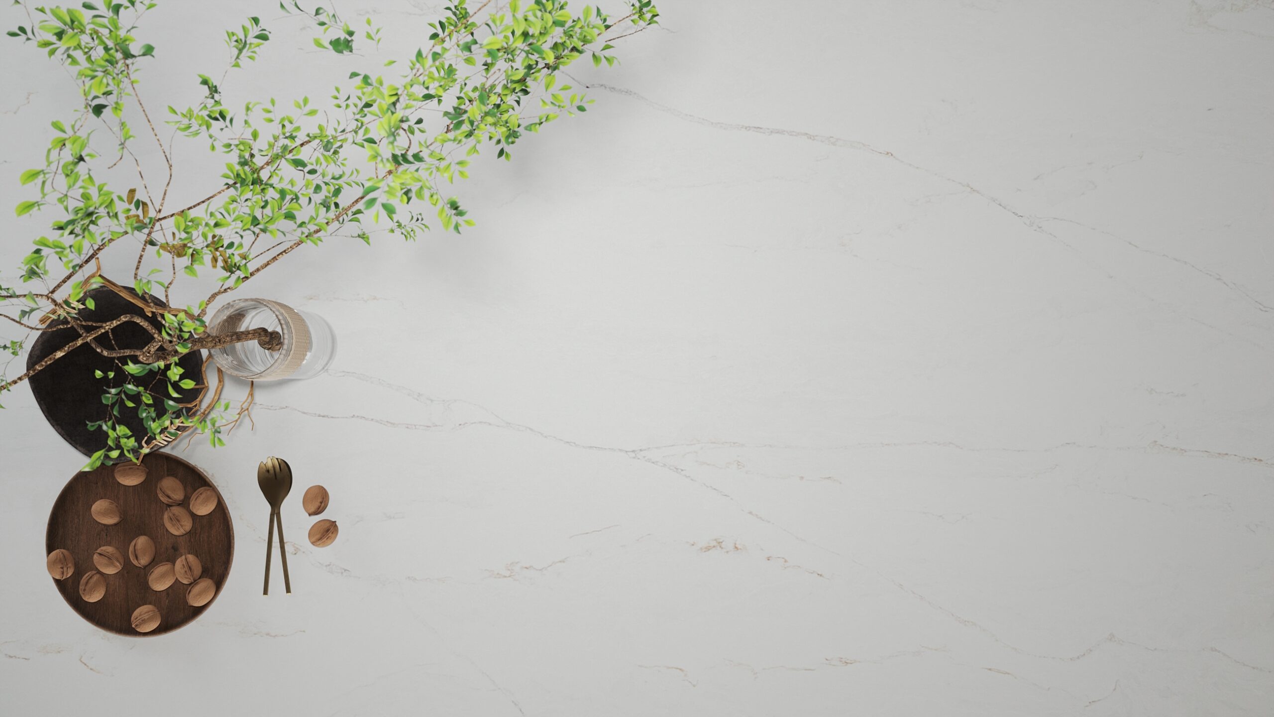Close up on Elara on countertop