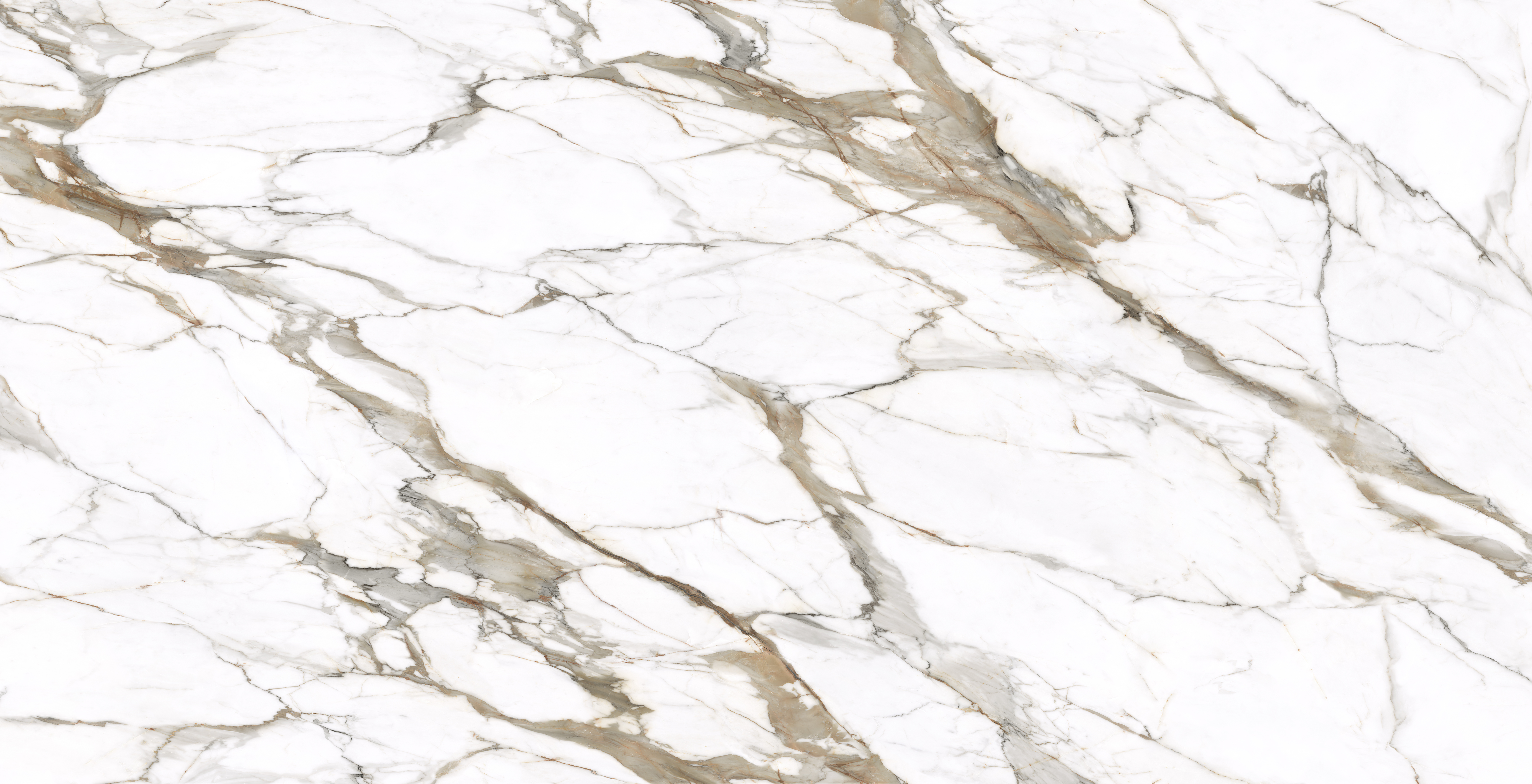 Calacatta Macchia Vecchia full slab