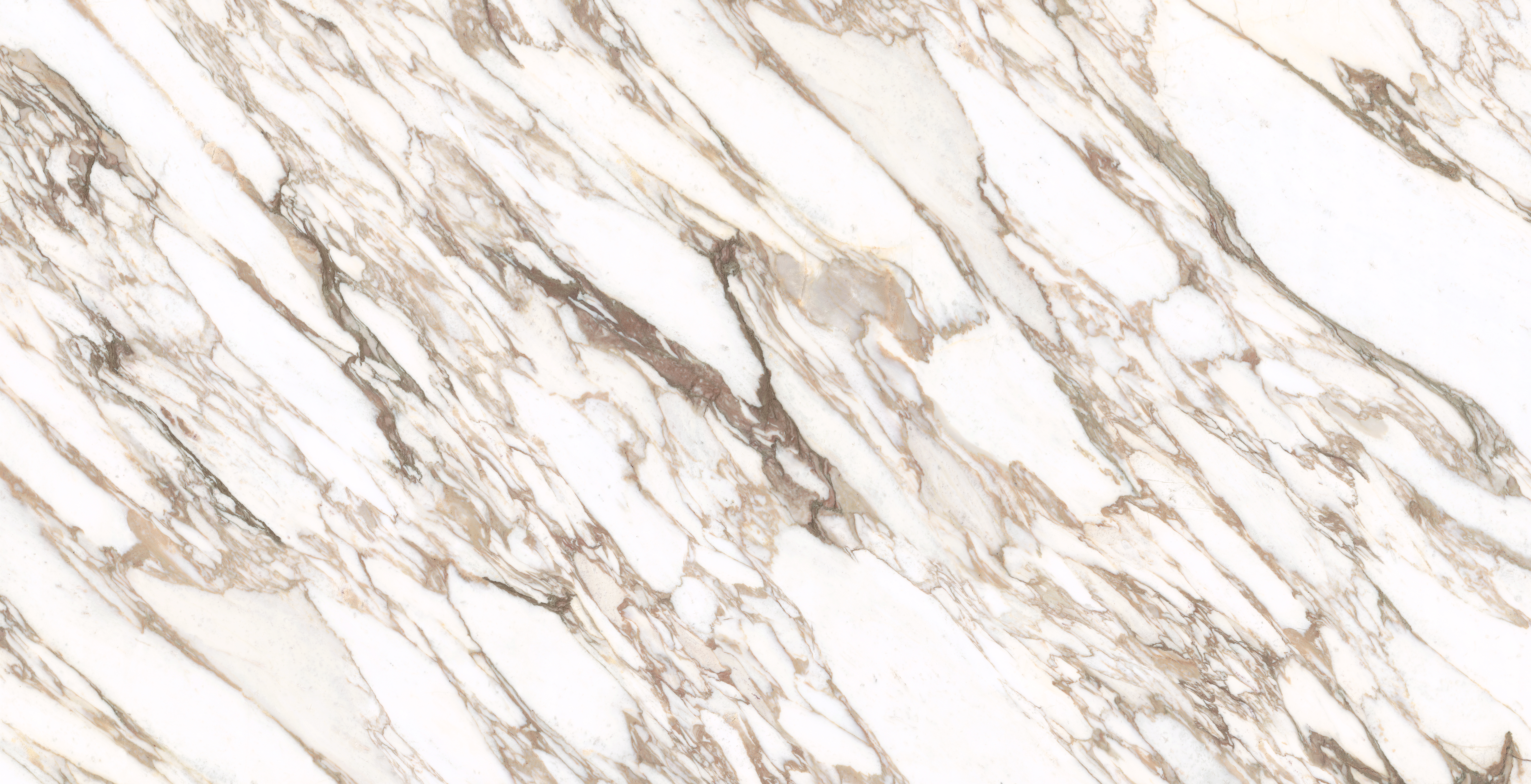 Calacatta Vagli Gold full slab