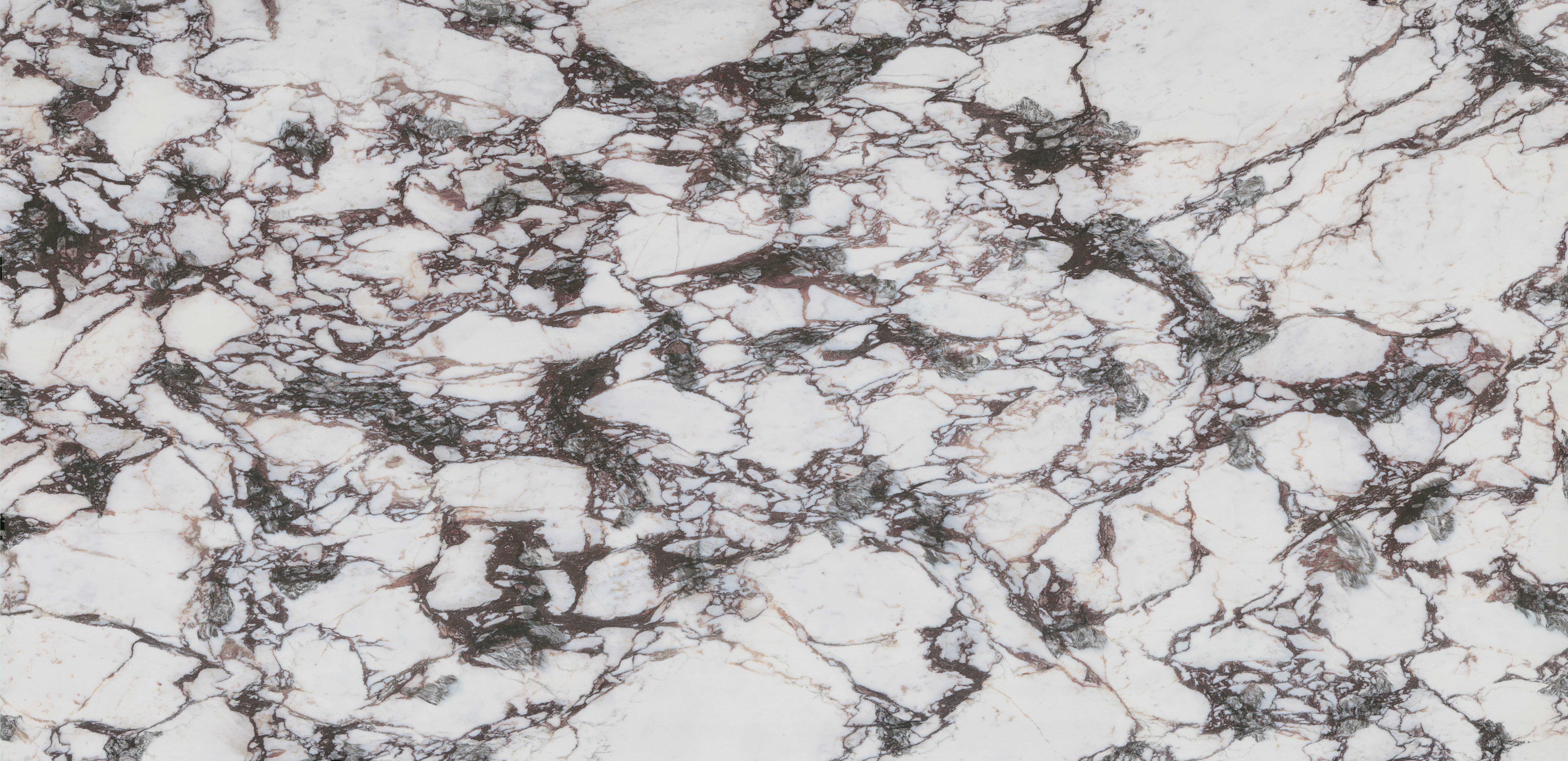 Viola Oro full slab
