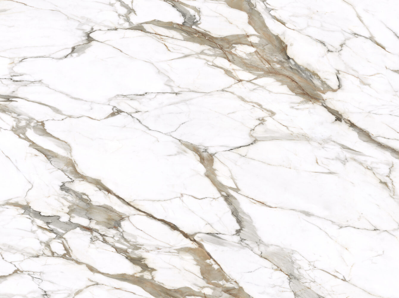Calacatta Macchia Vecchia slab — movement