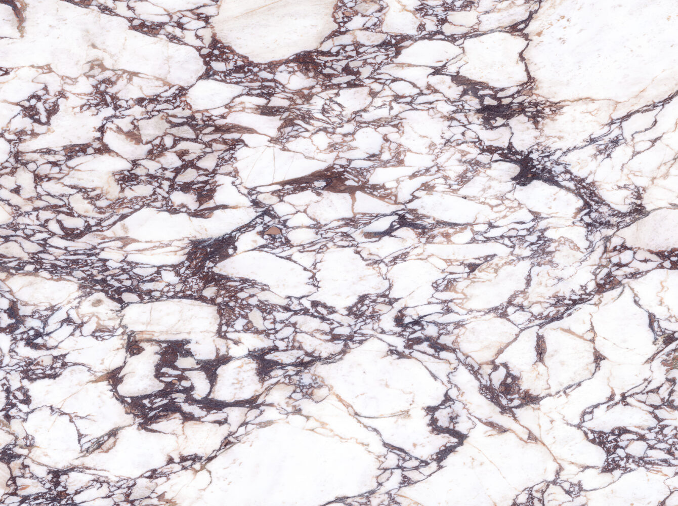Viola Oro slab detail — color