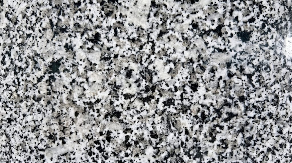 Luna Pearl closeup