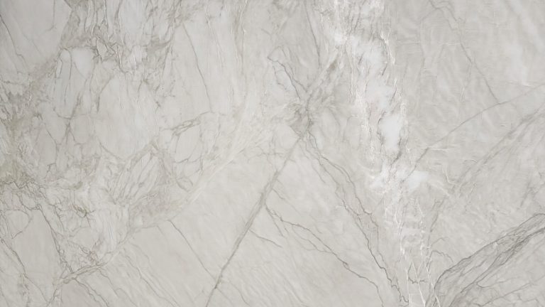 Apollo Venato closeup