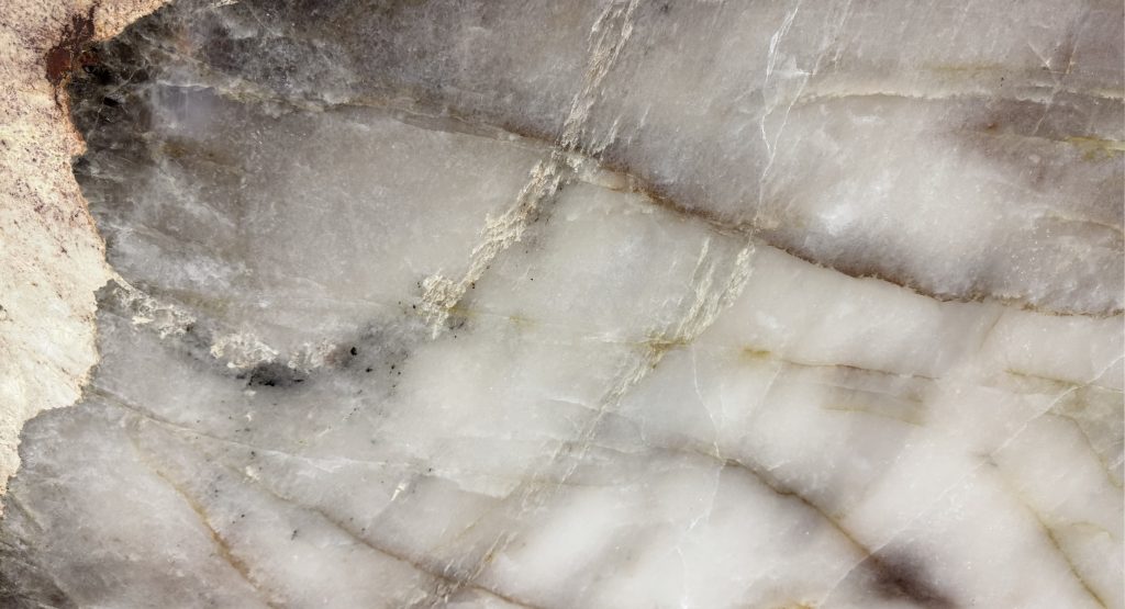 Patagonia closeup