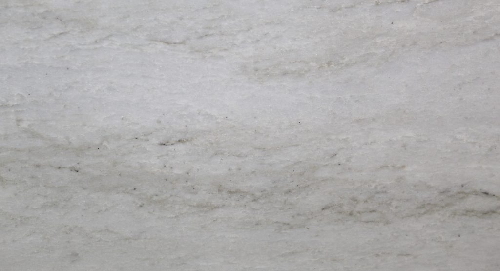 Sea Pearl closeup