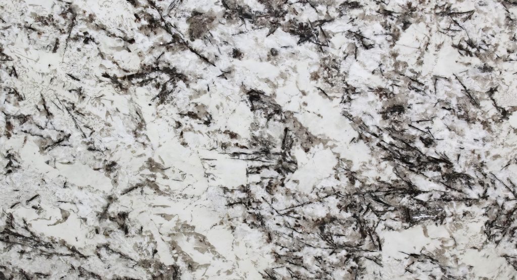 Alaska White closeup