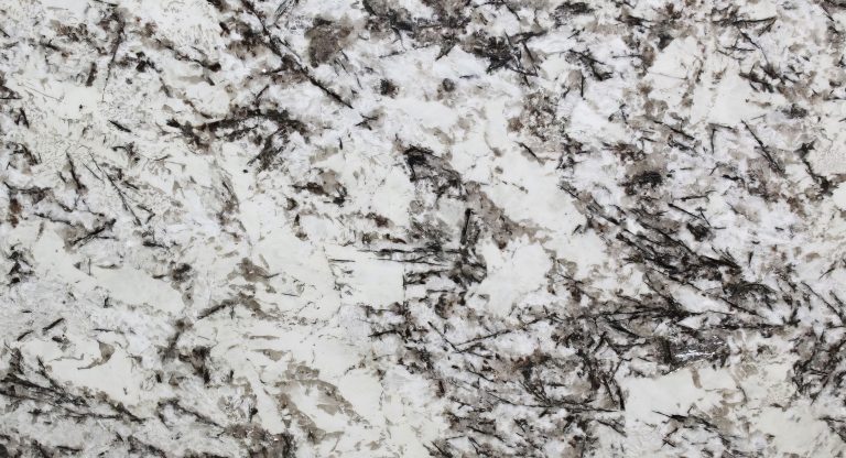 Alaska White closeup
