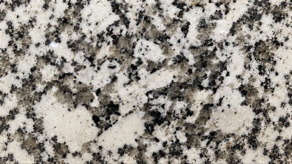 Gran Perla closeup