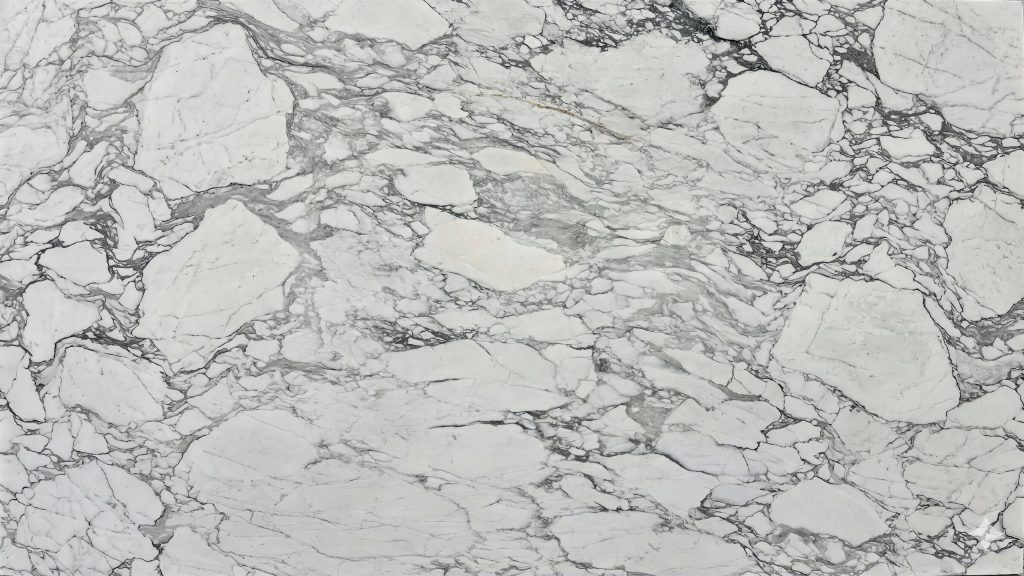 Calacatta Paonazzo closeup