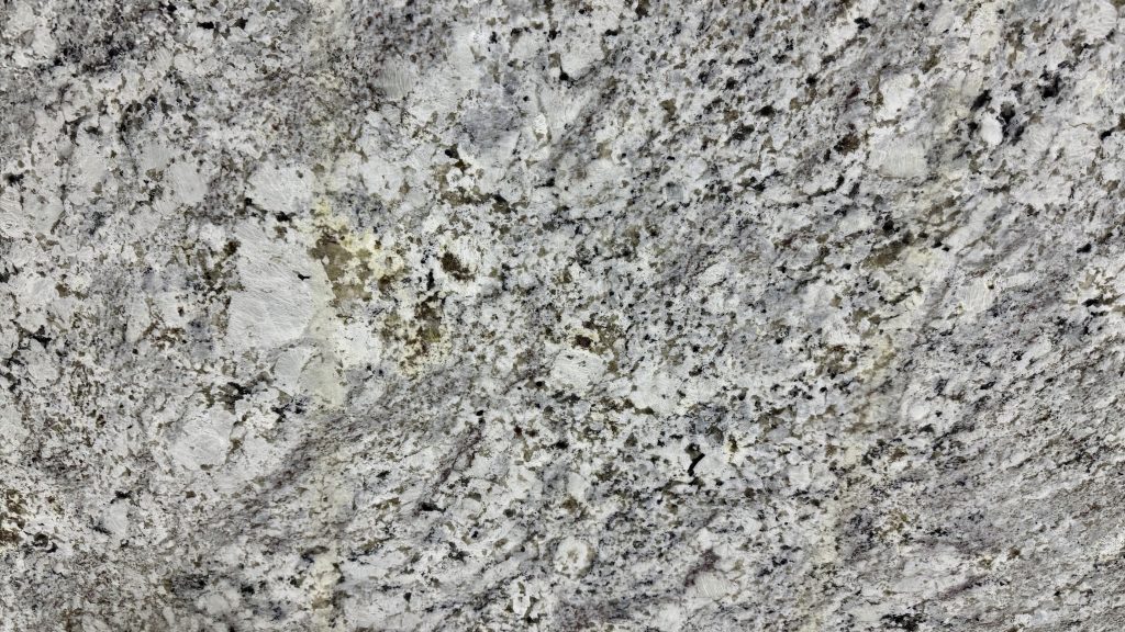 Andino White closeup