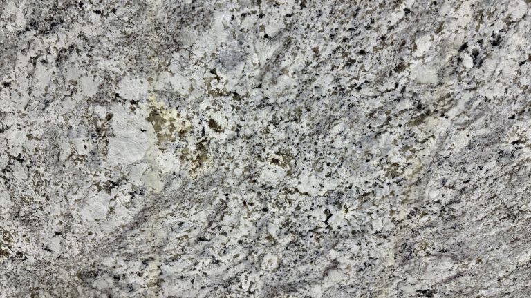 Andino White closeup