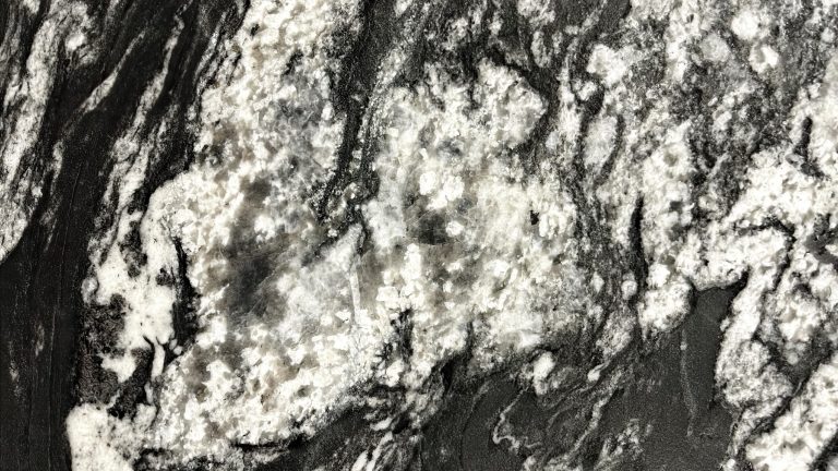 Black Forest closeup