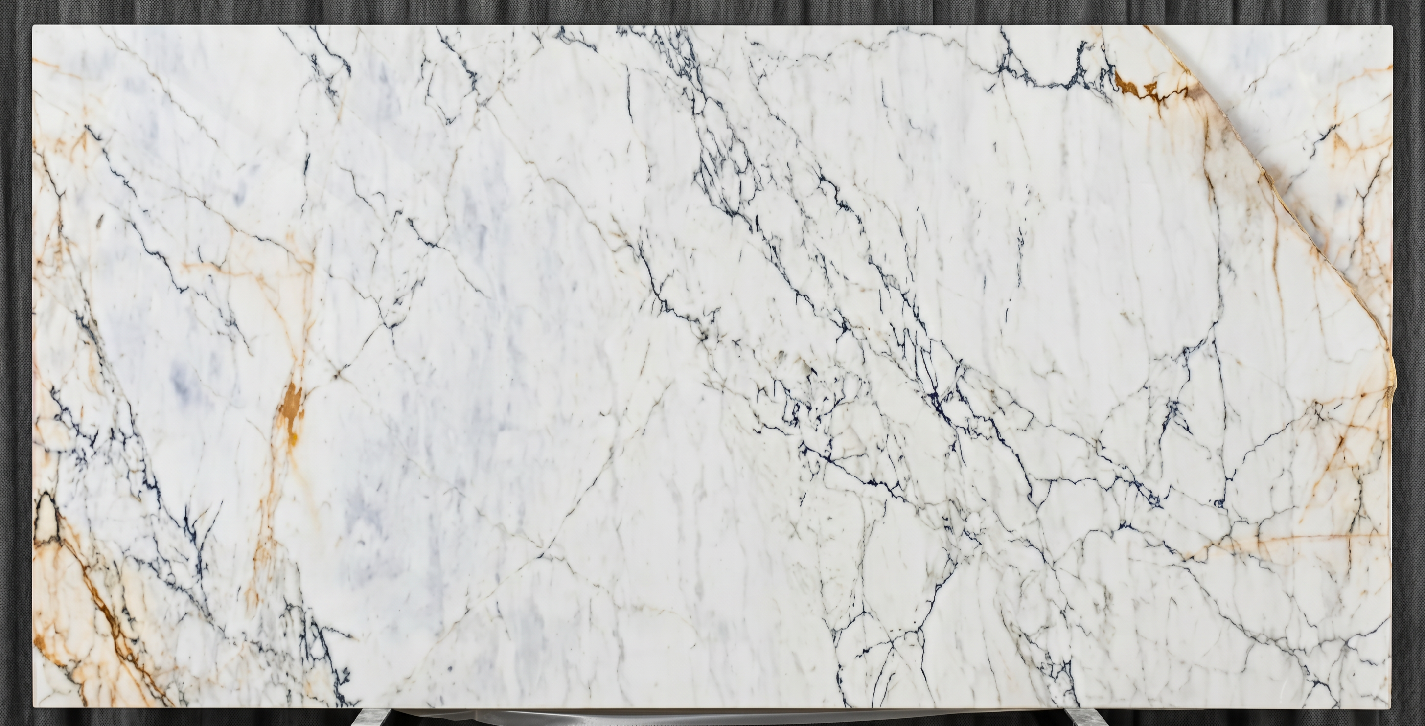 Calacatta Paonazzo slab